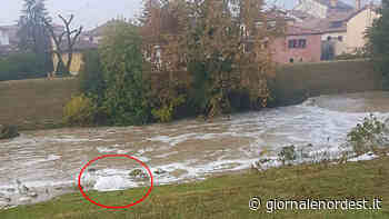 Onda di piena del Monticano ricca di schiuma. Fenomeno osservato ad Oderzo - giornalenordest