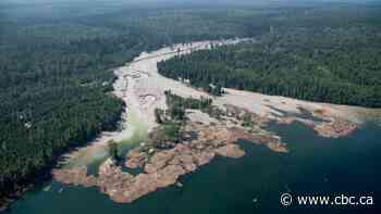 Regulatory body wraps up investigation into engineers involved in B.C.'s Mt. Polley mine disaster
