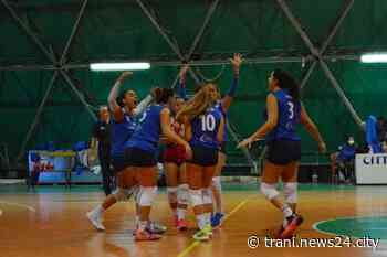 Serie B2, la Lavinia Group Trani vuole allungare la striscia di risultati utili in campionato - Trani News24 City