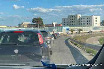 I genitori dei ragazzi alla ex Lum: «Urgente ripensare l'accesso alla scuola, troppi pericoli e difficoltà» - TraniViva