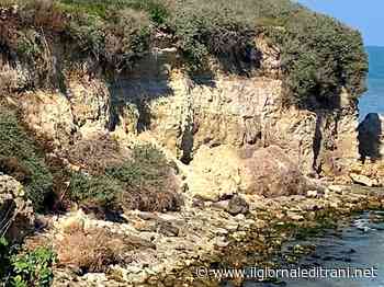 Trani, crolla un pezzo di falesia alla Baia del gruccione - ilgiornaleditrani - Radio Bombo