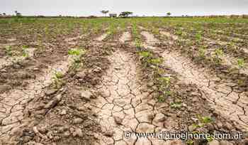DECLARAN EMERGENCIA AGROPECUARIA EN BUENOS AIRES Y FORMOSA - Diario El Norte