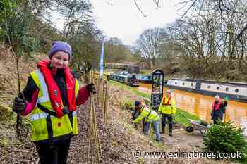Waterways charity to plant thousands of trees this spring - Ealing Times
