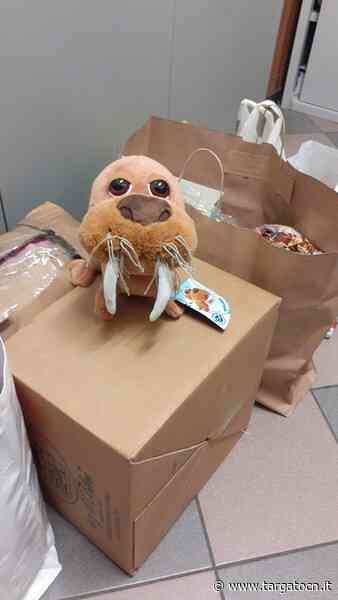 Anna e la sua bimba di 5 anni stasera arriveranno a Boves, dopo un lungo viaggio dall'Ucraina - TargatoCn.it