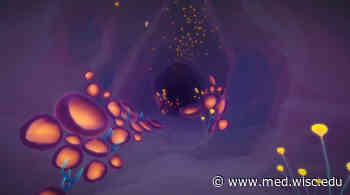 UW researchers examine whether virtual reality can help teens regulate emotions - University of Wisconsin School of Medicine and Public Health