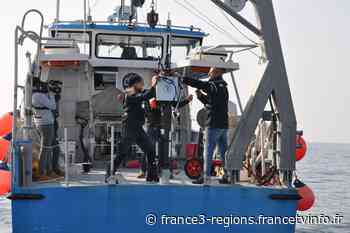 Des scientifiques de Villefranche-sur-Mer vont déployer des robots dans les abysses pour découvrir comment la mer stocke le CO2 - France 3 Régions