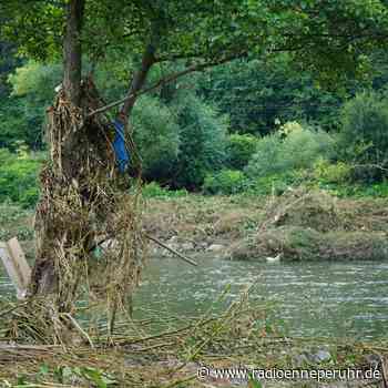 Müllsammel-Aktion in Witten - Radio Ennepe Ruhr