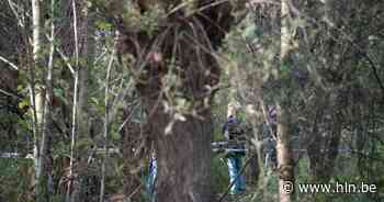 Speurders onderzoeken verdacht overlijden in Oudenaarde | Oudenaarde | hln.be - HLN.be