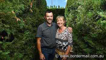 Tania and Francois Steyn have lofty dreams for Brookfield Maze - The Border Mail