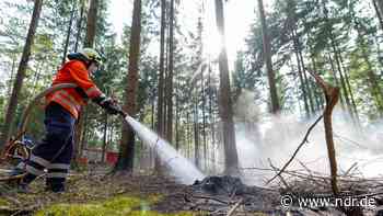 Waldbrandgefahr: Zweithöchste Gefahrenstufe in Harz und Heide - NDR.de