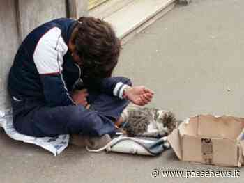 Capua / Cassino – Utilizza minori per accattonaggio, arrestato 60enne. Dovrà scontare 5 anni di carcere - Paesenews