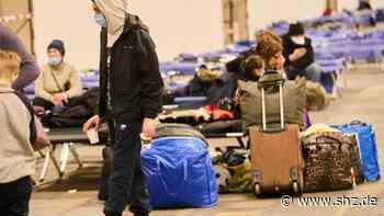 Unterricht für junge Ukrainer: Flüchtlinge: So wollen Kultusminister Personal für Schulen finden | shz.de - shz.de