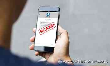 Fraudsters prey on coronavirus sufferers in fake NHS text scam - This is Money