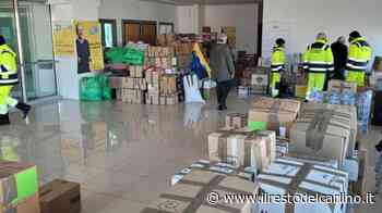 Guerra, studenti all'opera per aiutare gli ucraini - il Resto del Carlino