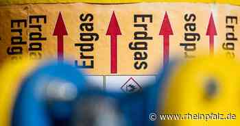 Hohe Energiepreise: Länder fordern mehr Entlastungen - Wirtschaft - Rheinpfalz.de