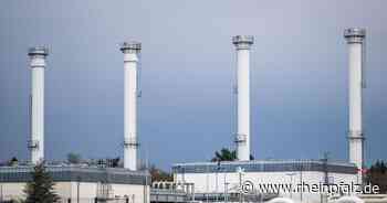 Kruse: Gazprom soll Gasspeicher in Deutschland abgeben - Wirtschaft - Rheinpfalz.de