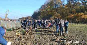 Meer dan 150 nieuwe bomen voor kleine keikopjes | Poperinge | hln.be - HLN.be