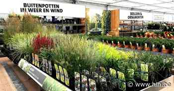 Van Decaflor in Rekkem tot Au Petit Jardin in Poperinge: dankzij deze 5 tuincentra in Zuid-West-Vlaanderen fleur jij je tuin op voor de lente - HLN.be
