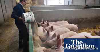 UK farmers call for urgent action to prevent soaring food prices - The Guardian
