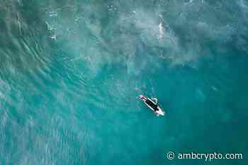 As retail interest spikes, investors can expect NEAR to rally at least 28% only if... - AMBCrypto News