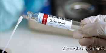 Termoli, Isernia, Campobasso: Covid: nel Molise 351 contagi e due guariti - Termoli Online