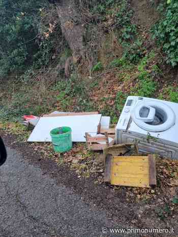 Termoli, in via del Mare una discarica a cielo aperto. M5s chiede più fototrappole - Primonumero