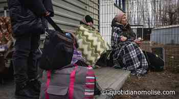 Fondi pro-Ucraina, la diocesi Termoli-Larino sostiene la raccolta - Il Quotidiano del Molse