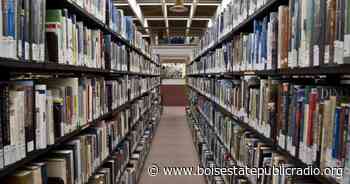 Proposed Idaho Law Could See Librarians Jailed For Lending “Harmful Materials” To Kids