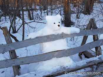 Weather: We're springing ahead after one more day of below-zero weather; 11 C by Thursday