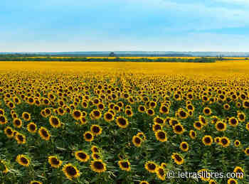 Leamos a Ucrania - LetrasLibres.com