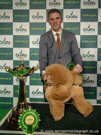 Lancs co-owner's pride as toy poodle wins place in Crufts final