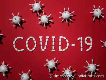 Coronavirus: All you need to know about the next normal that experts are preparing for - Times of India