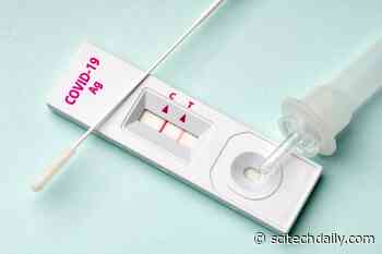 When Should I Use a Rapid COVID Test? How Accurate Are They?