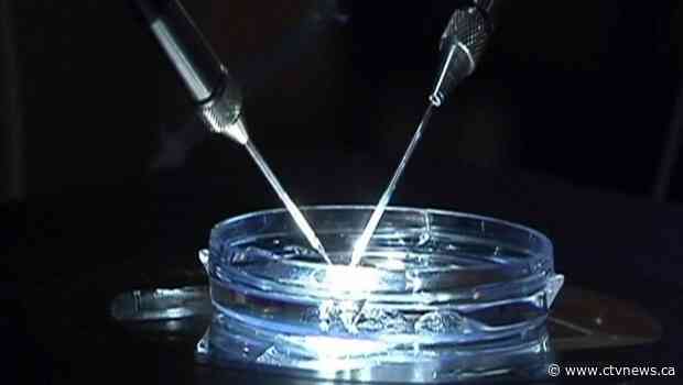 Buying and selling human eggs: Couples push for change in Canadian legislation