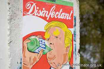 Covid-19 conspiracists less likely to follow guidelines, Durham research shows - Palatinate