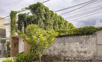 Tropical Shed in Manaus brings together work, fun and nature - Wallpaper*