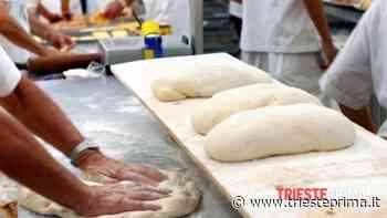 Formazione gratuita con inserimento diretto in azienda: Il Pane Quotidiano e Civiform selezionano dieci candidati - TriestePrima