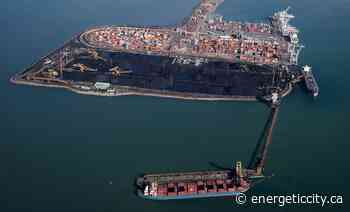 Ottawa urged to pause proposed B.C. port expansion, consider alternative plan - Energeticcity.ca