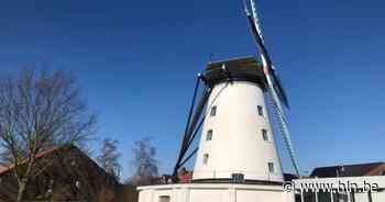 Zondag geleid bezoek aan de Briekenmolen - HLN.be