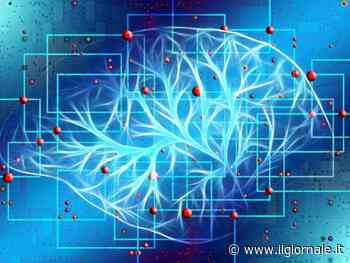 Cervello, cos’è la Tia e perché bisogna intervenire subito