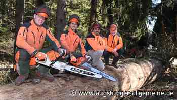 Landkreis Augsburg: Älteste Fichte in der Region: Ersteigern Sie sich ein Erinnerungsstück | Augsburger Allgemeine - Augsburger Allgemeine