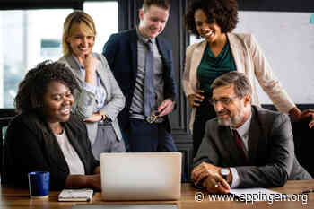 ▷ Finanzbuchhalter*in & Steuerfachangestellte*r (m/w/d) - Eppingen.org