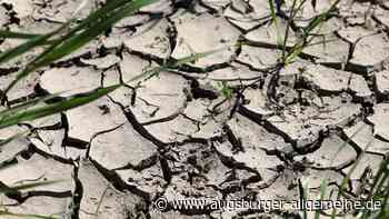 Ulm: Meteorologe Sven Plöger warnt: Große Teile der Welt werden unbewohnbar | Neu-Ulmer Zeitung - Augsburger Allgemeine