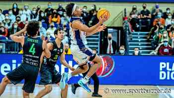 Seawolves feiern Rekord-Ergebnis gegen Ehingen - Sportbuzzer