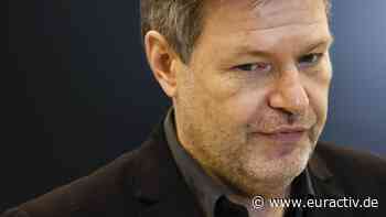 Habecks Heimspiel in Kiel: LNG, Repowering und Wasserstoff - EURACTIV Germany