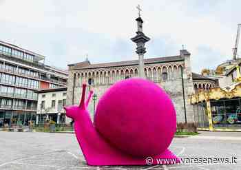 La Cracking Art irrompe a Gallarate con i suoi animali colorati - varesenews.it