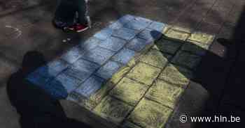 Bever in de bres voor Oekraïne: al 12 gezinnen willen opvang bieden, inwoners verkopen lasagne om geld in te zamelen - HLN.be