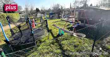 In den Kleingärten in Raunheim wird ausgesiebt - Echo Online