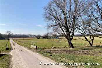 Landwirt Bernd Greiwing sichtet Wolf in Waltrop: Steckt er in einer Sackgasse? - Recklinghäuser Zeitung