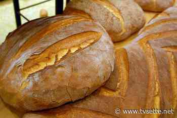 Prezzo del pane in volo, con guerra rischio +30%. A Benevento 2,65 euro | Tv7 Benevento - TV Sette Benevento